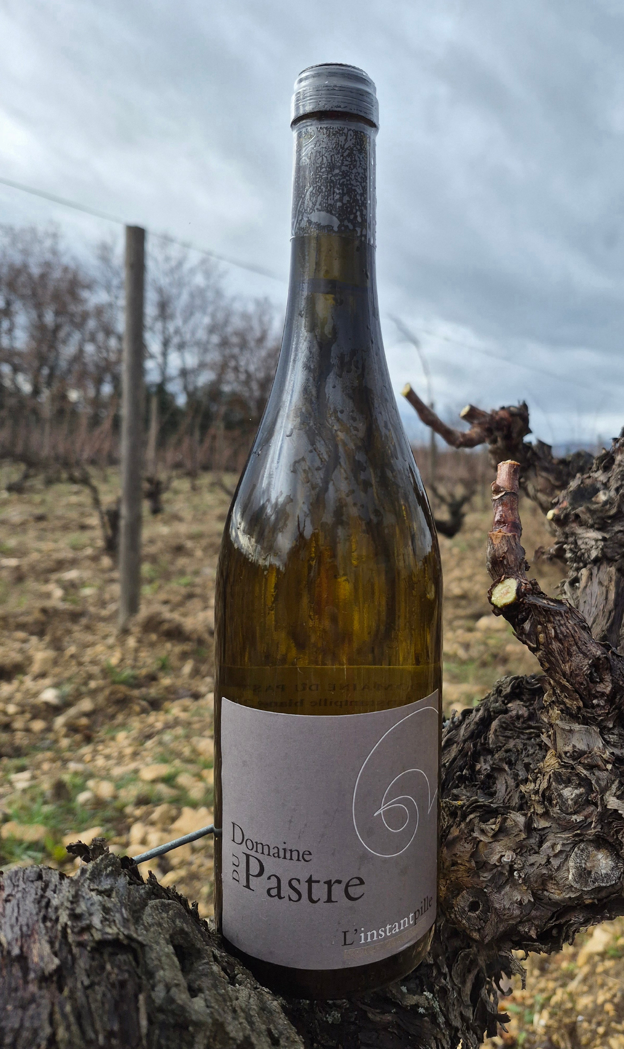 L'Instantpille Blanc