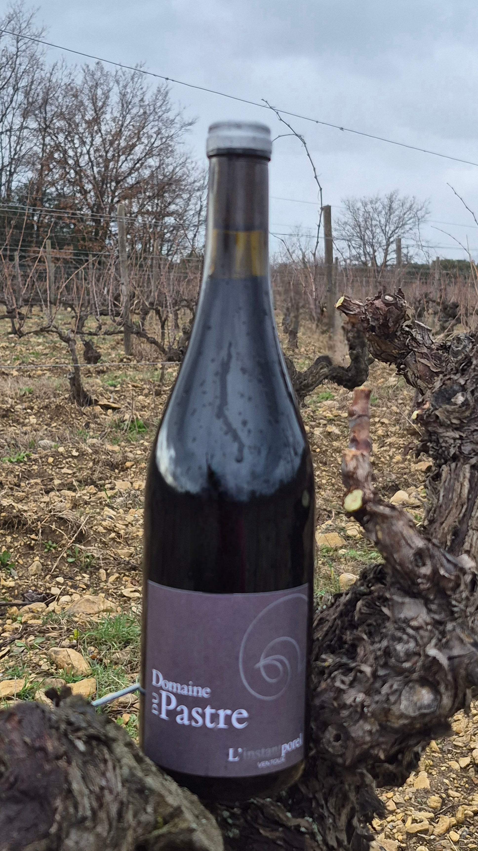 L'Instantporel Rouge