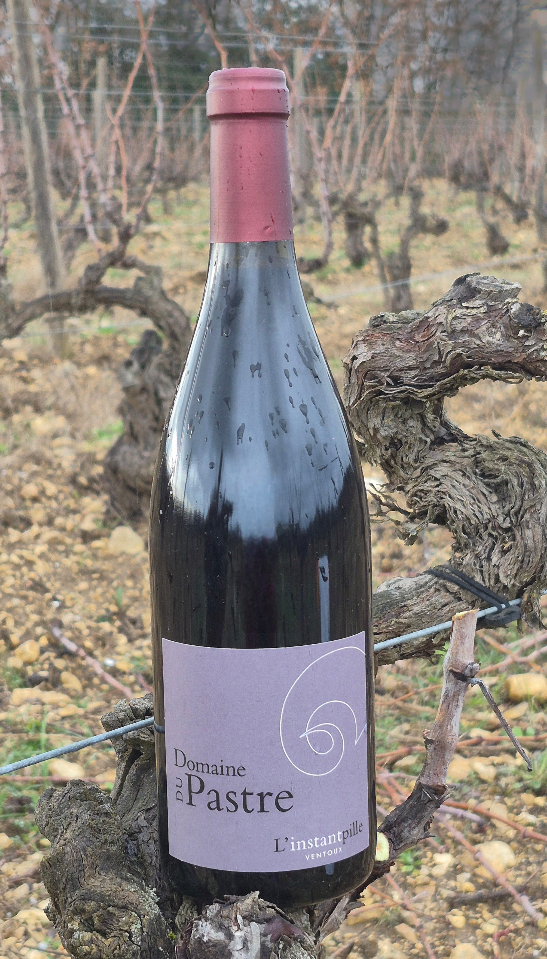 L'Instantpille Rouge